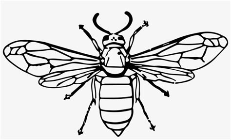 Hornet Bee Insect Wasp Drawing Wasp Drawing Transparent PNG Image