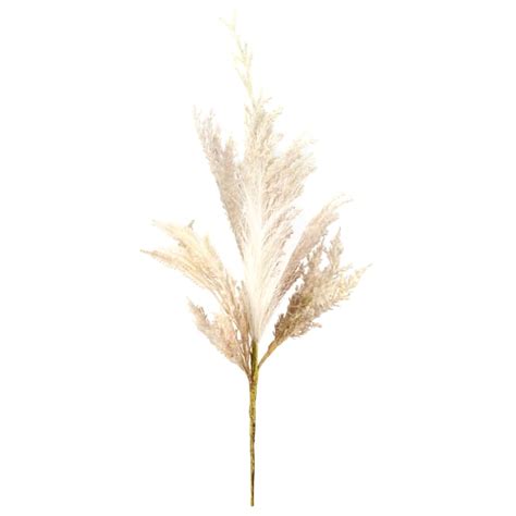 Cream Pampas Grass Bundle