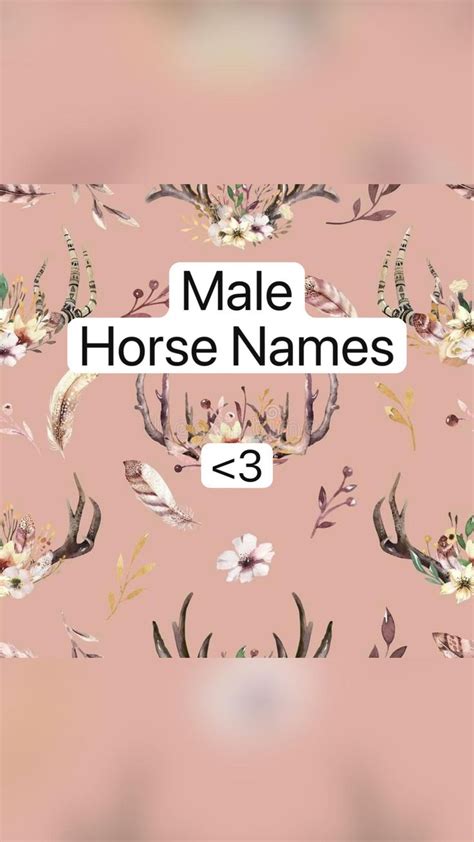 Male Horse Names | Male horse, Horse names, Horses