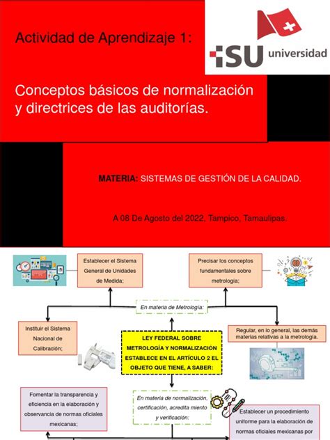 Conceptos Básicos De Normalización Y Directrices De Las Auditorías