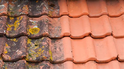 The Most Effective Way To Eliminate Moss On Your Roof