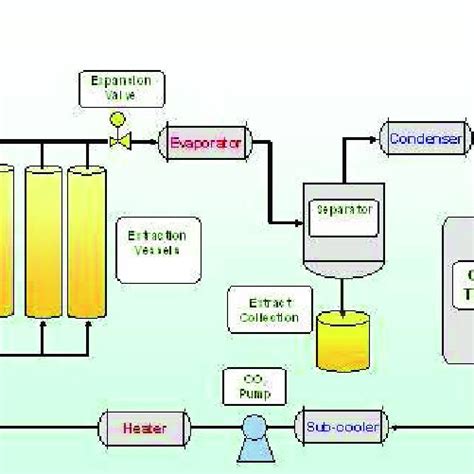 Schematic Diagram Of Essential Oil Extraction By Solvent Method Download Scientific Diagram