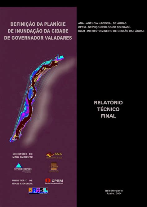 PDF RELATÓRIO TÉCNICO FINAL cprm gov br definiÇÃo da planÍcie de