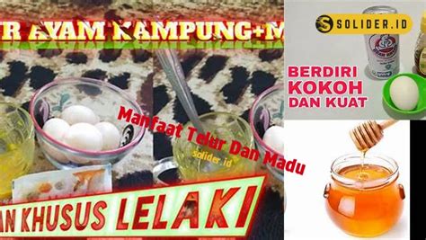 Temukan 8 Manfaat Telur Dan Madu Yang Jarang Diketahui Untuk Kesehatan