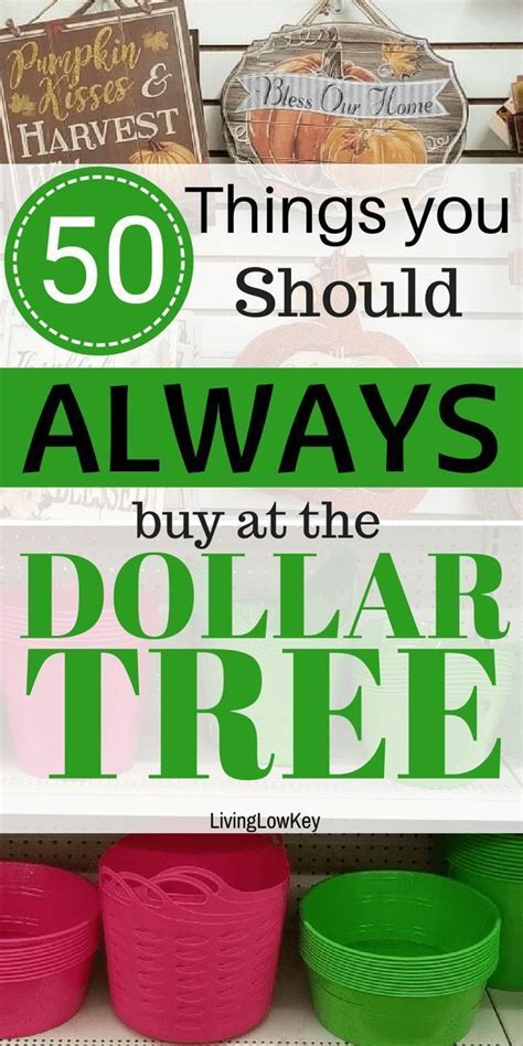 The Best Things To Buy At The Dollar Tree And What To Avoid Dollar