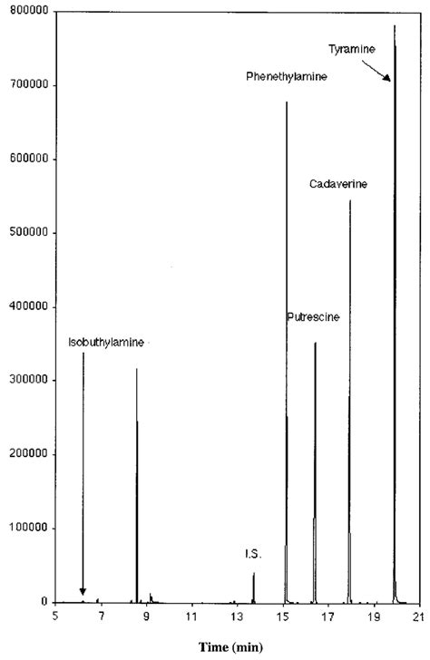 Gc Ms Sim Chromatogram For The Ions 176 177 And 204 Between 4 And 12 Download Scientific