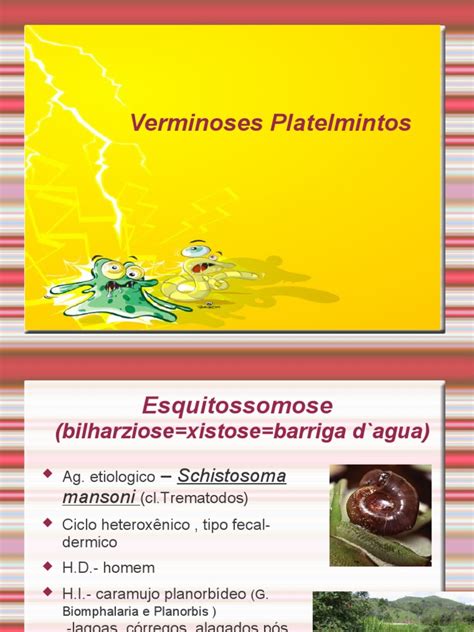 PDF Biologia PPT Aula 2 Verminoses Platelmintos DOKUMEN TIPS