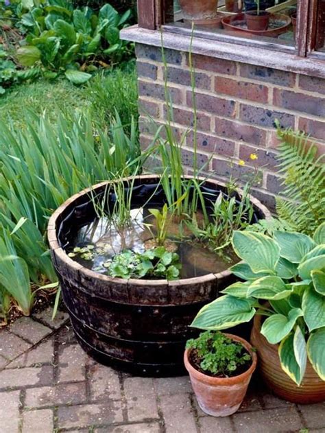 Diy Container Water Garden Ideas For Container Gardeners