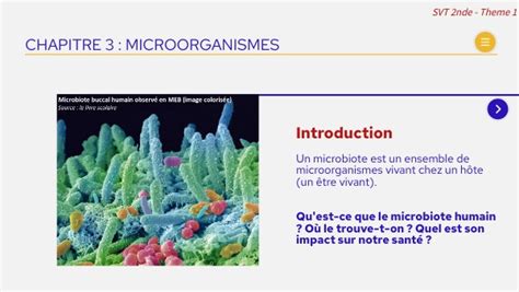 Chapitre Microorganismes