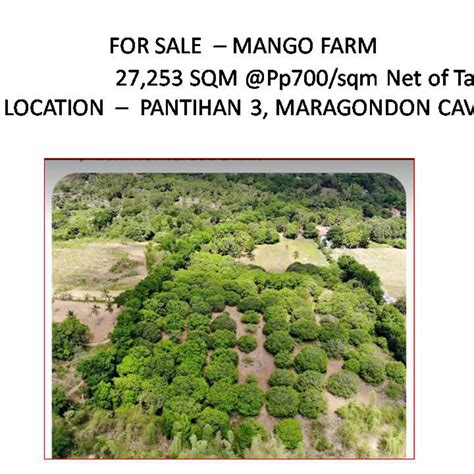 2 7253 Hectares Mango Farm Lot For Sale In Maragondon Cavite Lot