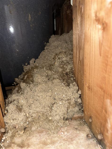 Found behind wall… : r/asbestoshelp