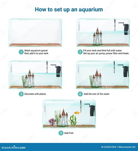 Aquarium Setup Realistic Infographics Stock Illustration | CartoonDealer.com #221212546