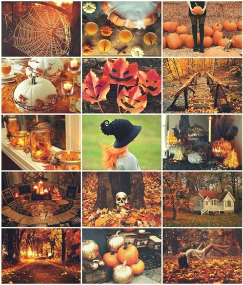 Autumn Aesthetic Ktchenor Photo Fanpop