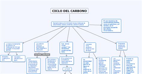 MAPA CONCEPTUAL CICLO DEL CARBONO