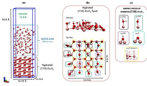 A Simulation Box For The Dft Md Of The Hydrated Ruo Liquid