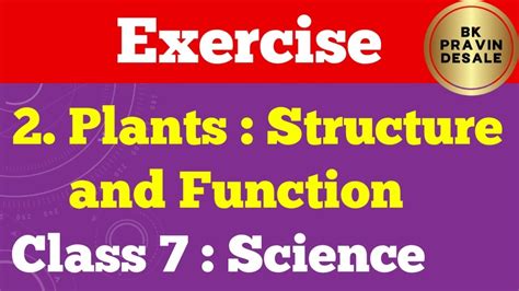 Plants Structure And Function Exercise 7th Science Chapter 2 Question