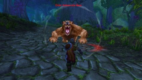 WoW SoD: Where to find Elder Ashenvale Bear in WoW Classic Season of Discovery