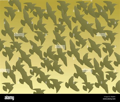 Flock Of Birds Stock Vector Images Alamy