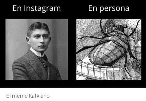 Meme Basado En El Libro La Metamorfosis De Franz Kafka Memes