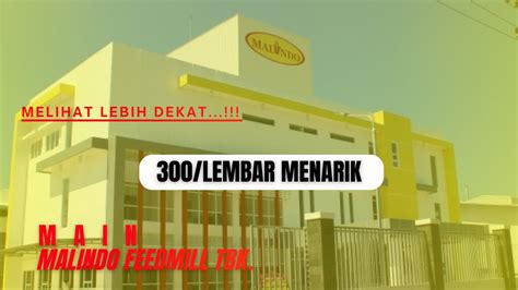 Perusahaan Malindo Feedmill Tbk Main Melihat Lebih Dekat Part