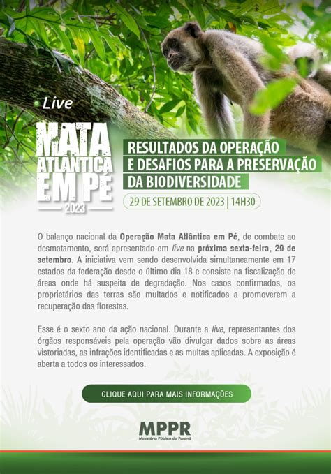 Operação Mata Atlântica em Pé é lançada e visa combater desmatamento e