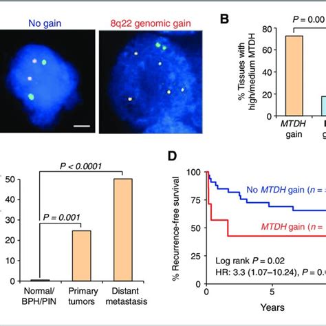 Silencing Of Mtdh In Tramp C Prostate Cancer Cells Decreases