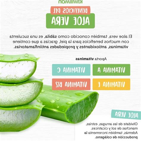 Los Increíbles Beneficios Del Aloe Vera Para La Piel