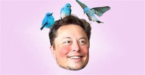 『イーロン・マスク氏が提唱する「狂ったように生産性を上げる方法」が話題ですが』。── 俗なサピエンスの生態観察日記 Vol 20｜evopsy｜note