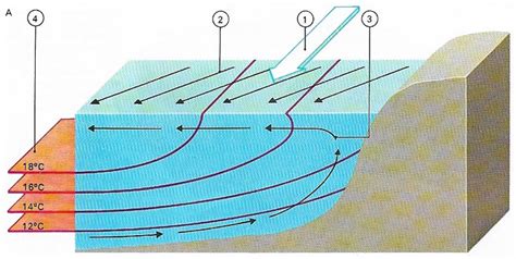 Surface Currents Diagram