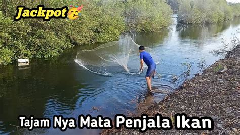 Padahal Sungai Air Tawar Tapi Ikan Laut Nya Sangat Melimpah Ruah