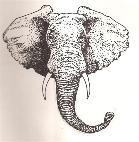 Indian Elephant Drawing At Getdrawings Free Download