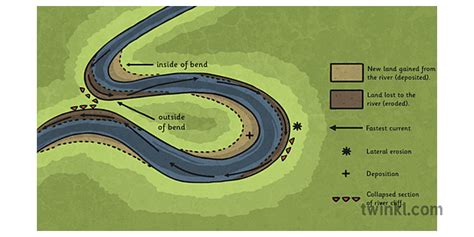 Diagram R U Cot Illustration Twinkl