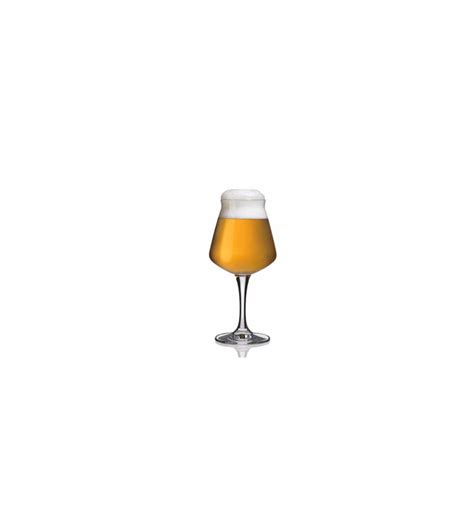 Rastal Calice Birra Teku Bicchiere Degustazione Birra