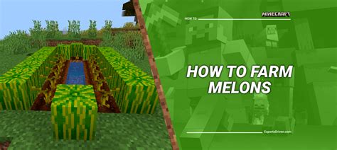 Your Ultimate Guide On Melon Farming In Minecraft