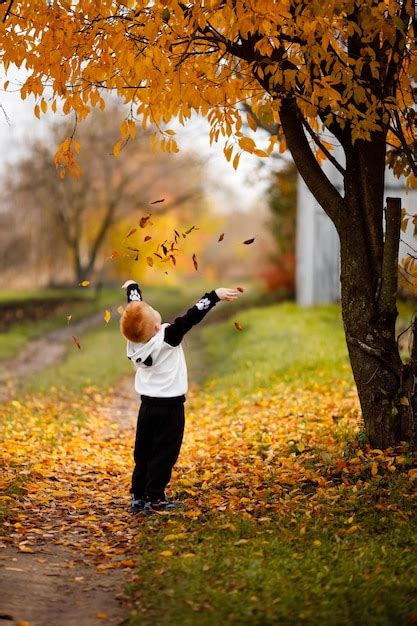 Un niño pelirrojo arroja muchas hojas amarillas que cayeron de un árbol