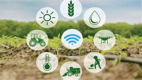 C Mo La Tecnolog A Digital Transforma La Agricultura Reporte Asia