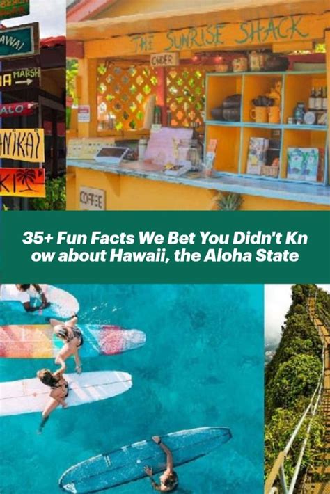 Fun Facts We Bet You Didn T Know About Hawaii The Aloha State