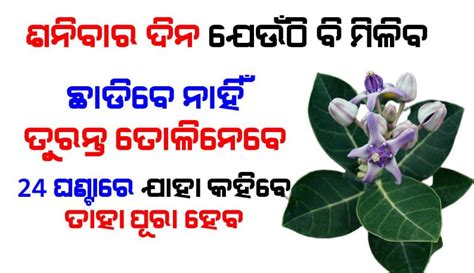 ଶନିବାର ଦିନ ଯଦି ଏହି ଗଛ ଦେଖୁଛନ୍ତି ତେବେ ଭୁଲରେବି ଛାଡ଼ନ୍ତୁ ନାହିଁ ଏବଂ ତୋଳି