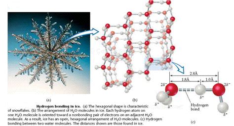 Hydrogen Bonds Ice