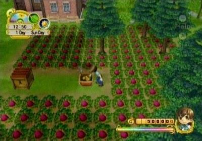 Harvest Moon The Tale Of Two Towns Ds Ser Lan Ado Em De