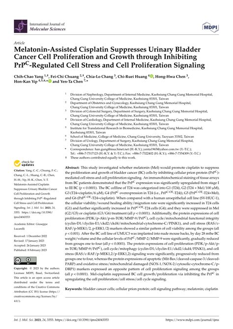 PDF Melatonin Assisted Cisplatin Suppresses Urinary Bladder Cancer