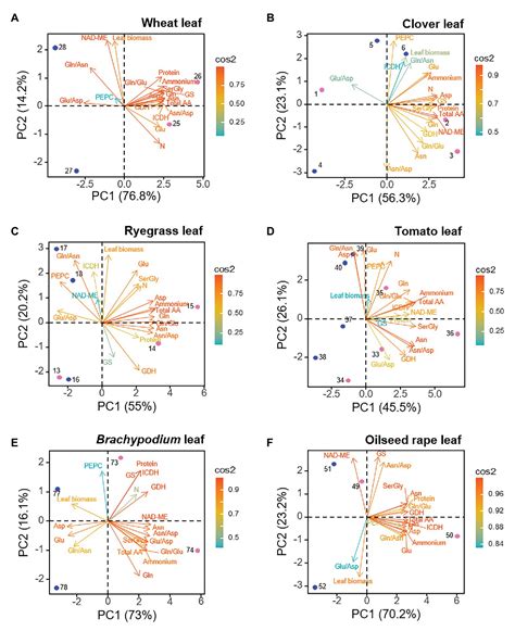 Frontiers A Multi Species Analysis Defines Anaplerotic Enzymes And