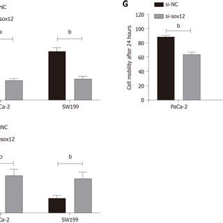 MiR 663a Inhibits Pancreatic Cancer Cell Growth By Targeting Sox12 A