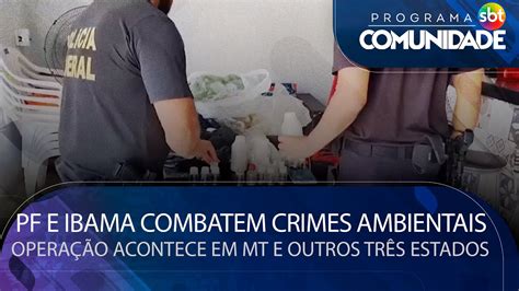 Polícia Federal E Ibama Combatem Crimes Ambientais Operação Acontece