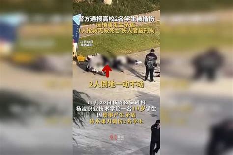 因琐事发生矛盾 警方通报高校2名学生被捅伤 1人抢救无效死亡，伤人者被刑拘 陕西一高校男生持刀伤人