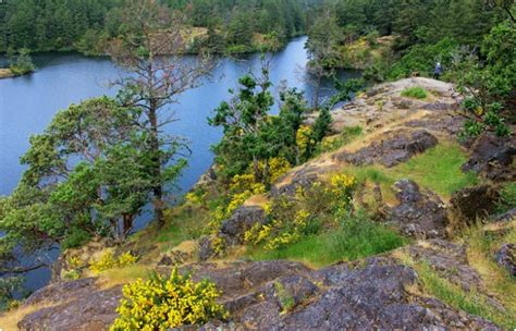 10 Rutas De Senderismo Mejor Valoradas Cerca De Victoria BC