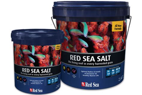 Red Sea Salt – IwarnaOnline