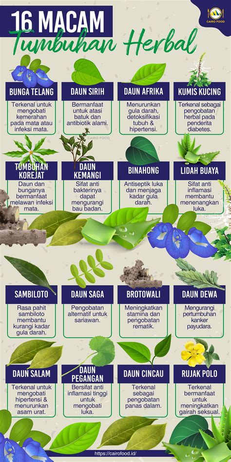 10 Jenis Tanaman Herba Yang Kaya Manfaat Untuk Kesehatan