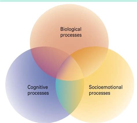 Figure 1 5 From A Topical Approach To Lifespan Development 9e