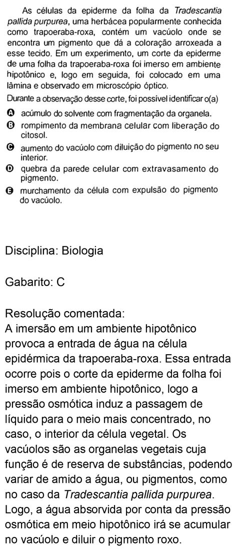 Questão ENEM 128 Amarela ENEM 2022 FTD Resolve